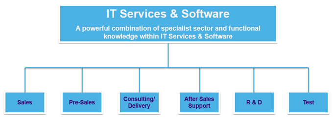 it-services-software